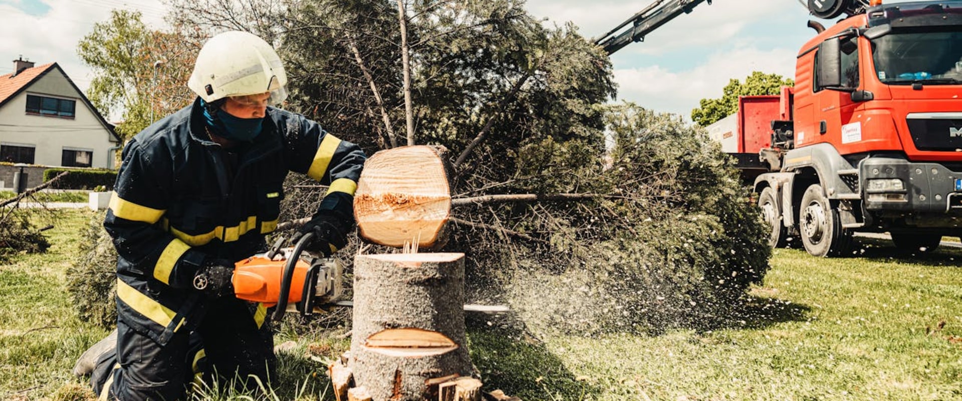 Transform Your Yard: The Essential Role Of Tree Removal Services In Residential Landscaping