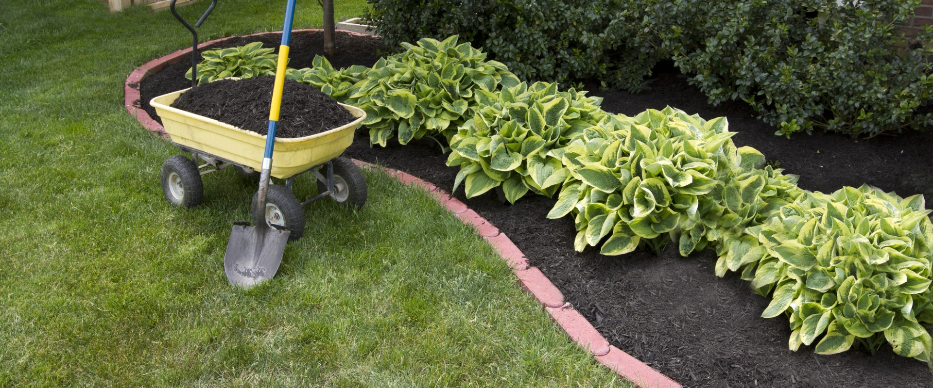 What Types of Mulch Should I Use for My Residential Landscaping Project?