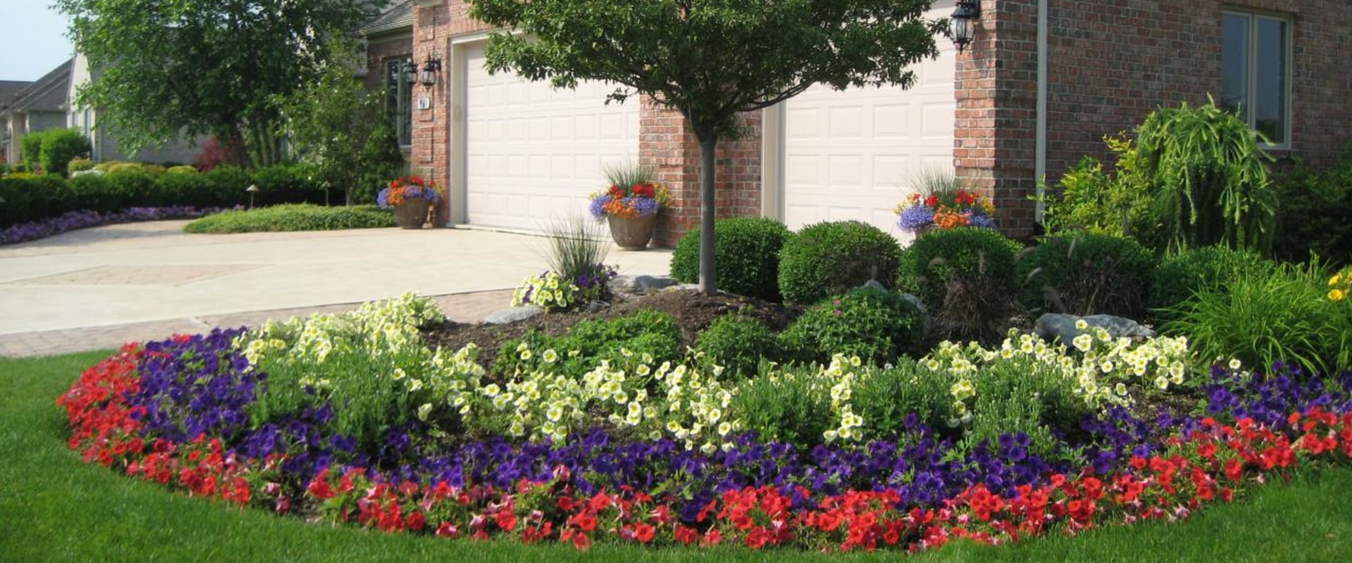 How to Choose the Right Plants for Your Residential Landscaping Project