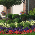 Reducing Water Usage in Residential Landscaping: The Best Ways
