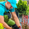 Why Do Landscapers Charge So Much Money?