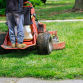Maintaining A Pristine Lawn: The Importance Of Weed Control Services For Plano, TX Residential Landscaping