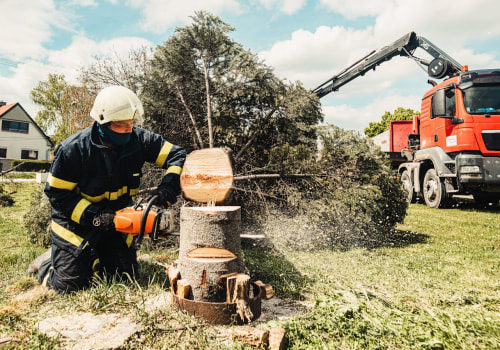 Transform Your Yard: The Essential Role Of Tree Removal Services In Residential Landscaping