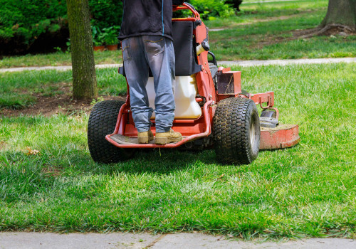 Maintaining A Pristine Lawn: The Importance Of Weed Control Services For Plano, TX Residential Landscaping