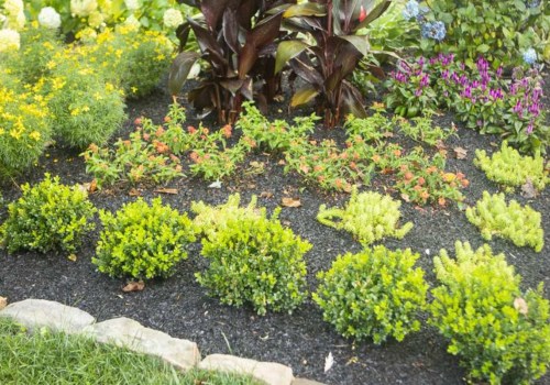 Mulch Matters: How To Choose The Right Service For Your Northern VA Residential Landscape